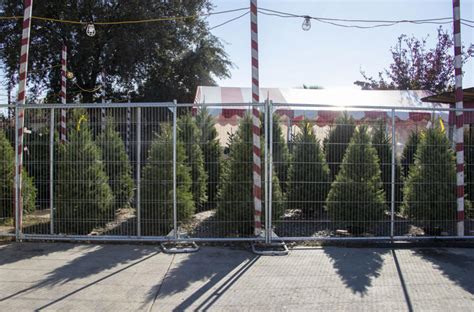 Waste management to offer Christmas tree disposal sites next week in Lodi